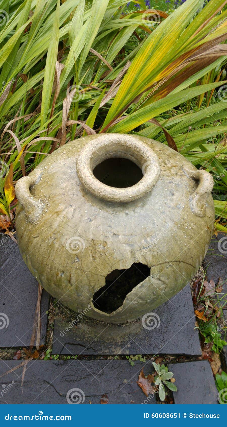an english garden: a vase